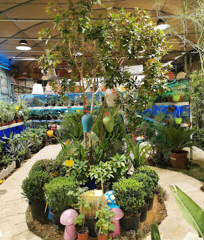مشتل حدائق الصنوبر - Riyadh - +966 56 919 9717