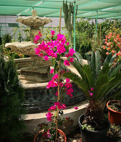 The Green Fortune - Taif - +966 55 167 9860