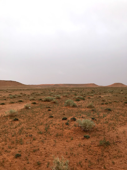 روضه رميثان - Saudi Arabia|حويمضة 15745|F4PW+MCC