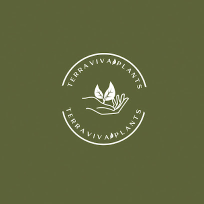 TerravivaPlants -  - +966 54 906 9445