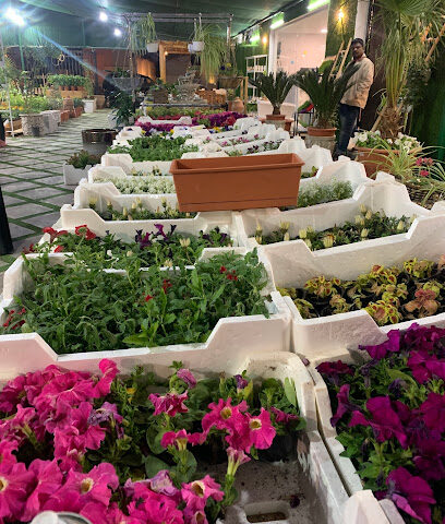 Garden ideas nursery - Buraydah - +966 50 497 9149