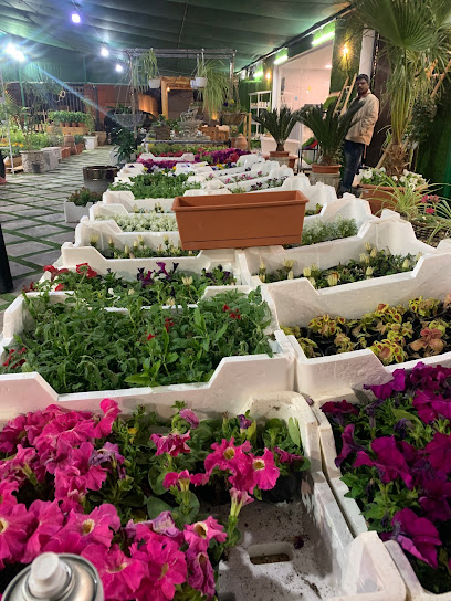 Garden ideas nursery - Saudi Arabia|Buraydah 52581|5143