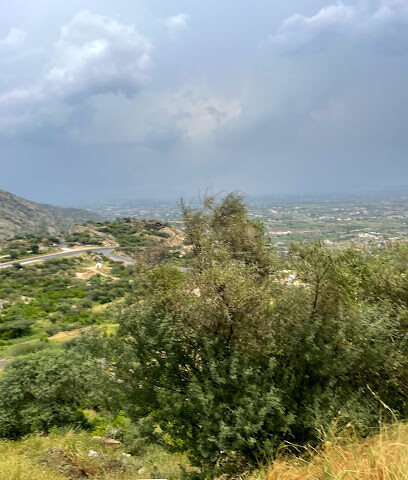 ملعب - Jazan -