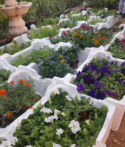 مشتل شركة انتصار - Al-Kharj - +966 56 558 2035
