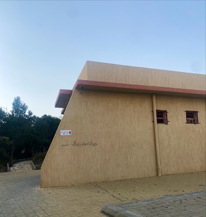 Men toilet - Saudi Arabia|67379