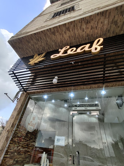ورق عنب ليف ( Leaf ) - Saudi Arabia|Al Bahah 65542|Albaher|الامير سلطان بن عبد العزيز