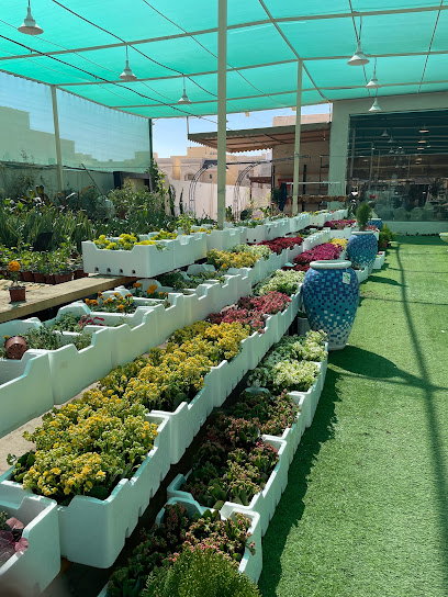 مشتل أفكار الحديقة 2 - Buraydah 52372