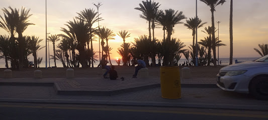 شاطىء النخيل - Umluj -
