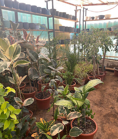مشتل أبو عبدالعزيز - Unayzah - +966 54 322 2327