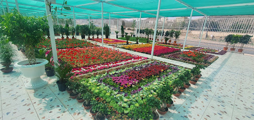 مشتل ذوق الياسمين - Taif - +966 53 888 3938