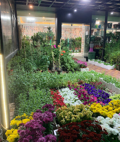 مشتل هدوء الاماكن لتنسيق الحدائق - Al Jubail - +966 58 280 2227