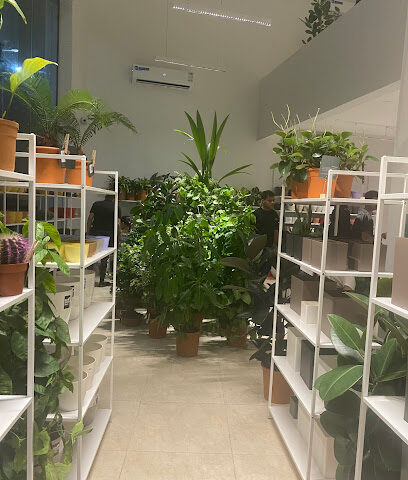 بلانت راك | Plant Rack - Sakaka - +966 53 958 4228