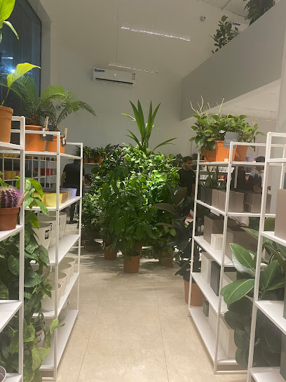 بلانت راك | Plant Rack - Saudi Arabia|Sakaka 72311|WRAA3956، 3956