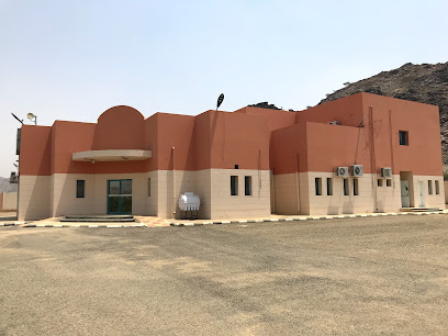 مركز صحي وادي سھول - سهول- Aseer Province -