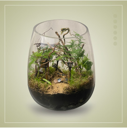 سيلفاريوم SILVARIUM -  - +966 57 556 9677