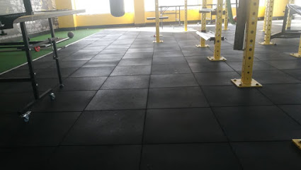 Sports Flooring Artificial Grass Flooring - Jeddah - +966 57 516 1322