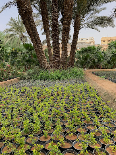 مشاتل الغابة - Saudi Arabia|Diriyah|8421 وادي عاقل، الطريف الجديد، الرياض 13712 3561،