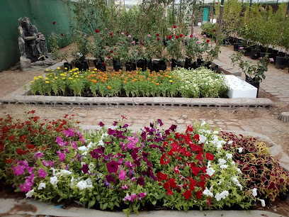 TABUK - Tabuk - +966 55 844 0448