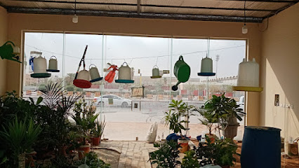 مشتل مراكن جنى مشاتل - Saudi Arabia|Riyadh 13782|Dhahrat Laban