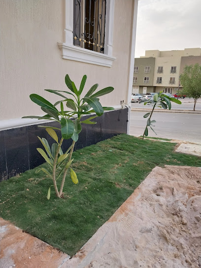 مشتل بساتين للزراعة - Saudi Arabia|Riyadh 12466|Almasiaf|Imam Saud Bin Abdulaziz Bin Mohammed Rd