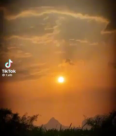 مشتل بلدية الخرج - Al-Kharj -