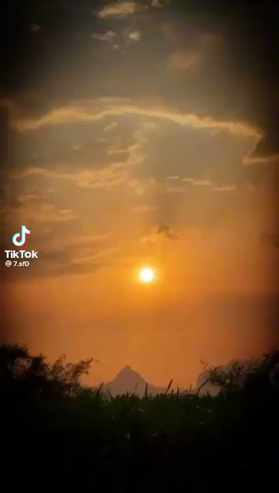 مشتل بلدية الخرج - Al-Kharj 16271