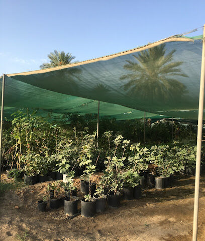The arboretum Hassan Sultan - Anak - +966 50 498 4610