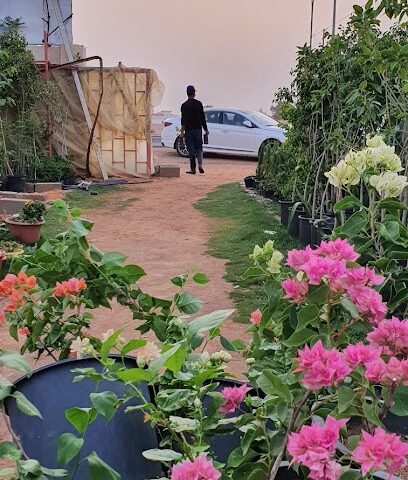 مشتل هنْش - Tubarjal -