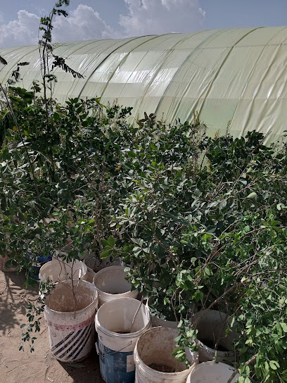 مزرعة الخير - Saudi Arabia|Abha 62588|Sirr ad Ghalidh|5JVX+JW