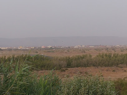 Al Gharbia Farms - Saudi Arabia|25345