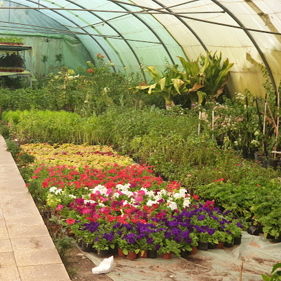 حدائق روابي النيل خميس مشيط - Khamis Mushait - +966 50 575 4345
