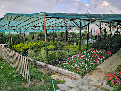 مشتل الرباعي - Al Bahah - +966 56 130 3457