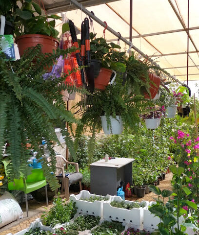 مشتل كنوز الورد - Riyadh - +966 56 628 6336