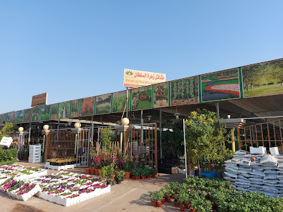 مشتل تاج الهدوء عبيرالورد سابقا - Saihat - +966 50 159 3130