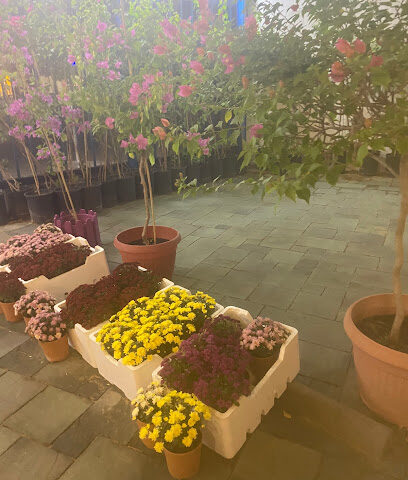 مشتل الزعفران - Buraydah -