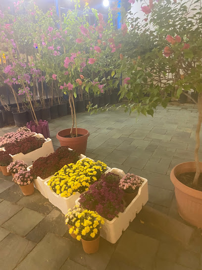 مشتل الزعفران - Saudi Arabia|Buraydah 52348،|QBJB2340، 2340 طريق عمر بن عبدالعزيز، 7854، حي|الوسيطا،