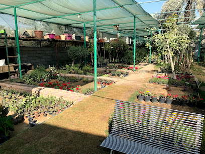 Mayasm nursery -  - +966 50 592 8458