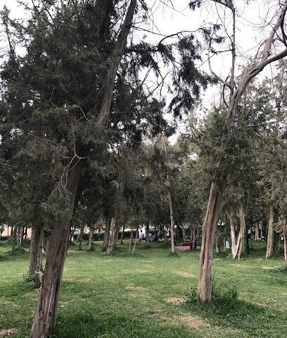 دورة مياه - Al Bahah -