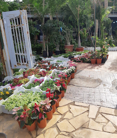 مشتل الواحة فرع المرجان جدة - Jeddah - +966 53 770 1354