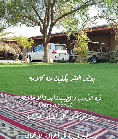 منتجع ابوفهد المحيذيف -  - +966 55 548 8375