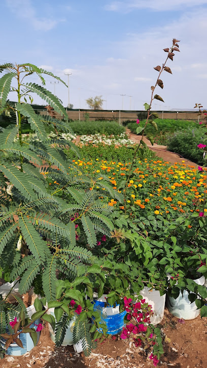 Rabigh Nursery - Rabigh 25754