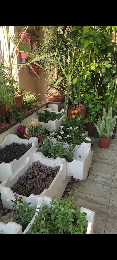 Basateen Al- Andalus Nursery - Saudi Arabia|Abha 62542|6176