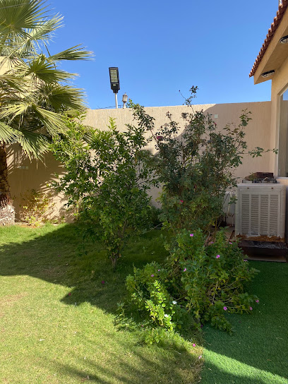 Chalet palms - Az Zulfi 15941