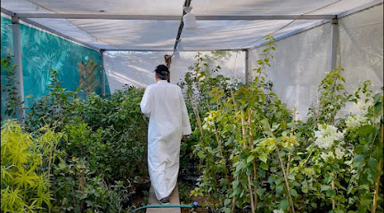 Al-Munif nursery - Hautat Sudair - +966 55 684 8382