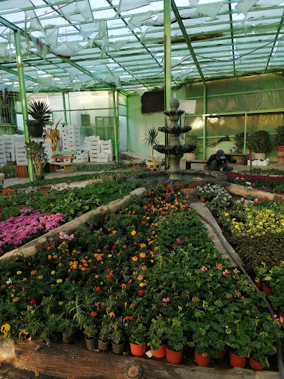 Arboretum Valley Atoud - Saudi Arabia|Khamis Mushait 62433|طريق الامير سلطان