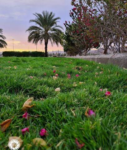 Sqam garden -  -