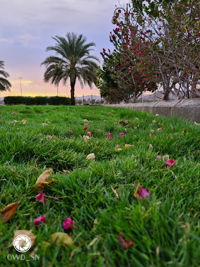 Sqam garden - Saudi Arabia|66268