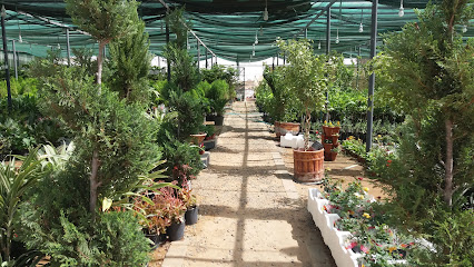 مشتل تبوك الحديث - Saudi Arabia|Tabuk 47331|Cultivated Area|CJFV+MMQ